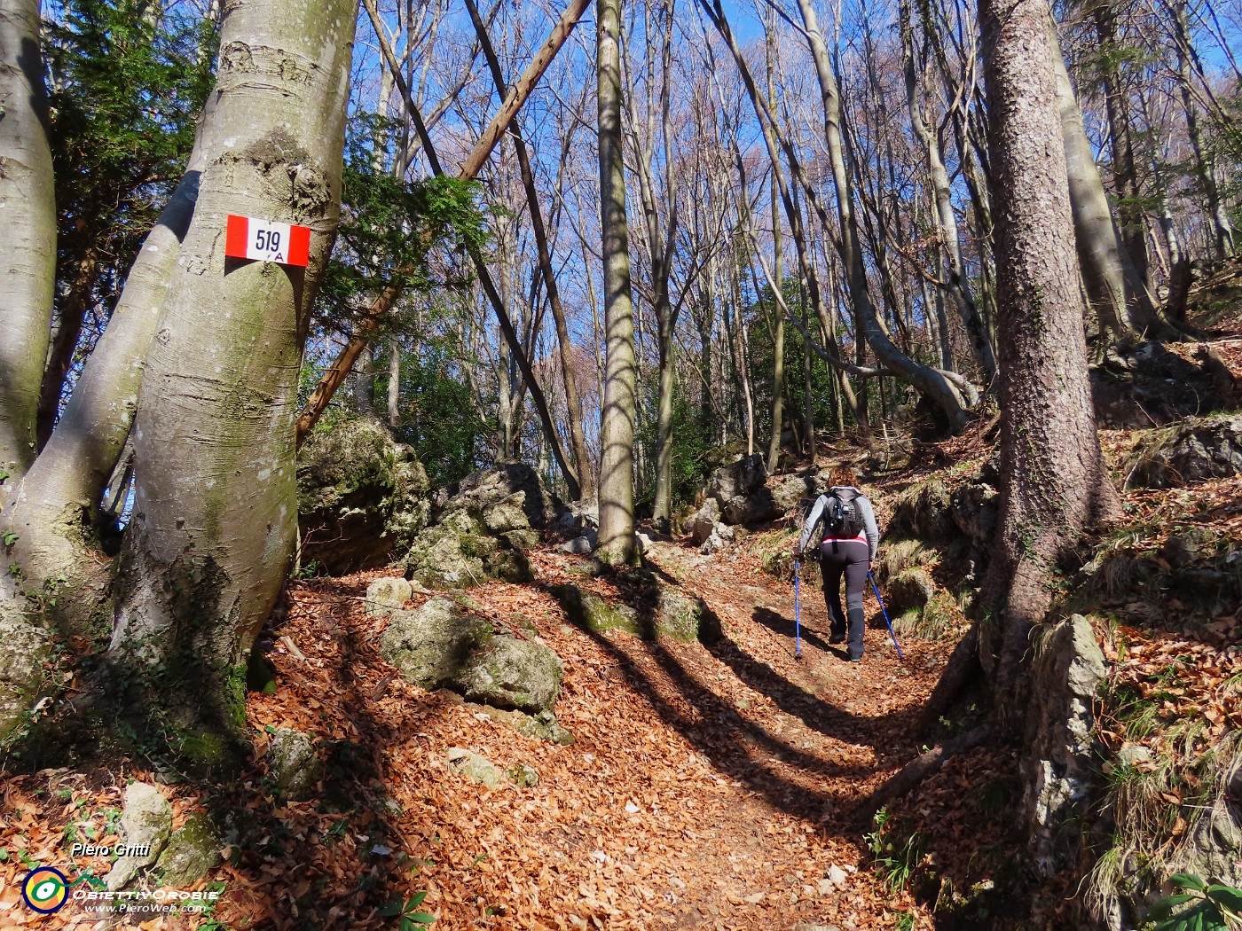 23 Seguiamo il sent. 519A in faggeta.JPG